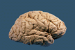 img49.gif (5129 bytes)
