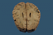 img54.gif (4477 bytes)