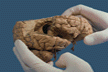 img60s.gif (6007 bytes)