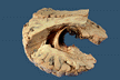 img63s.gif (4888 bytes)